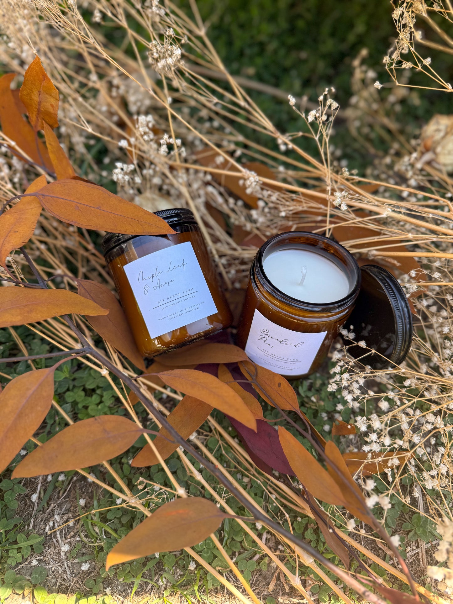 00 Scents of the Season Club